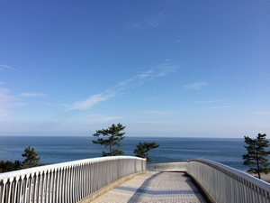 黒潮橋